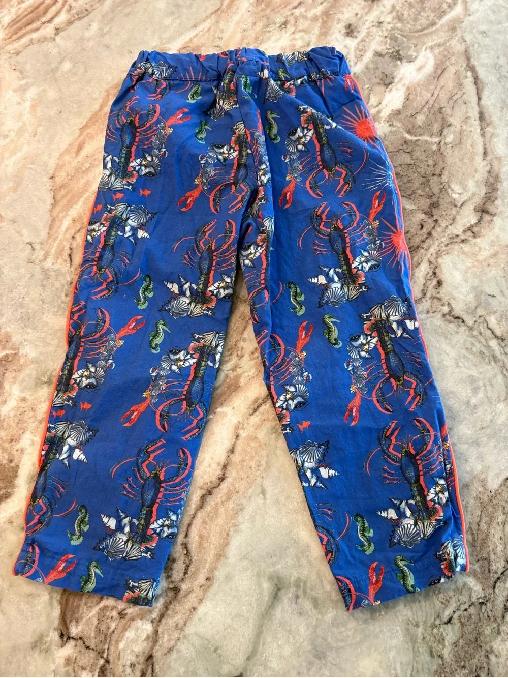 House of Little Vild Organic Cotton Pajama Set Long Sleeve Pants Set Blue Sea